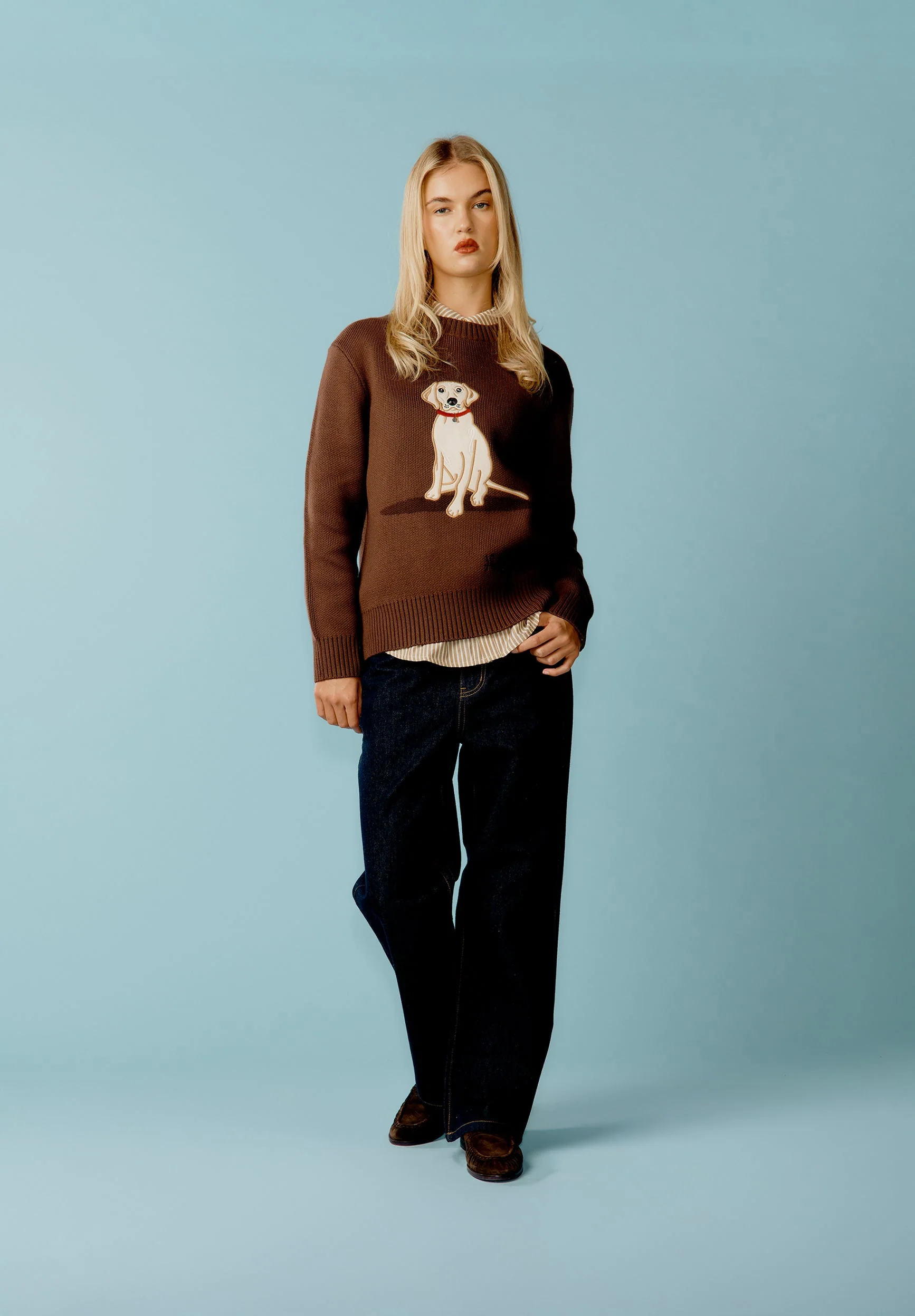 THE LABRADOR - Image 4